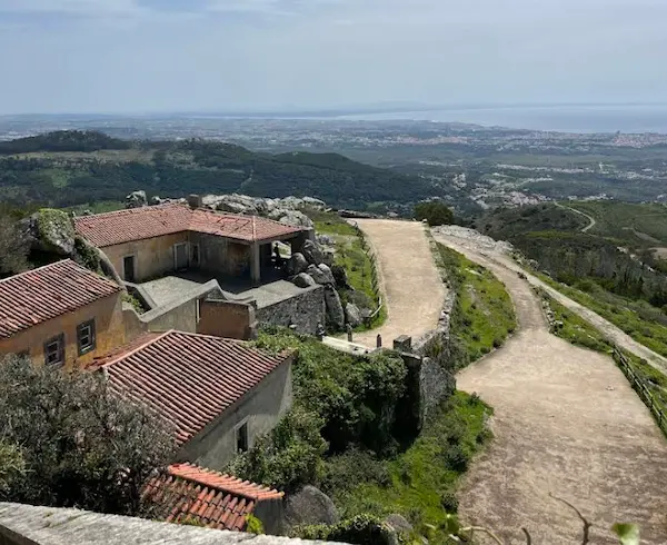 Review image 1