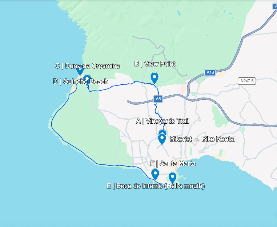 Vineyards-Guincho Coastal Loop in Cascais
